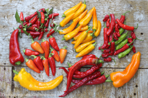 pepper varieties to start indoors