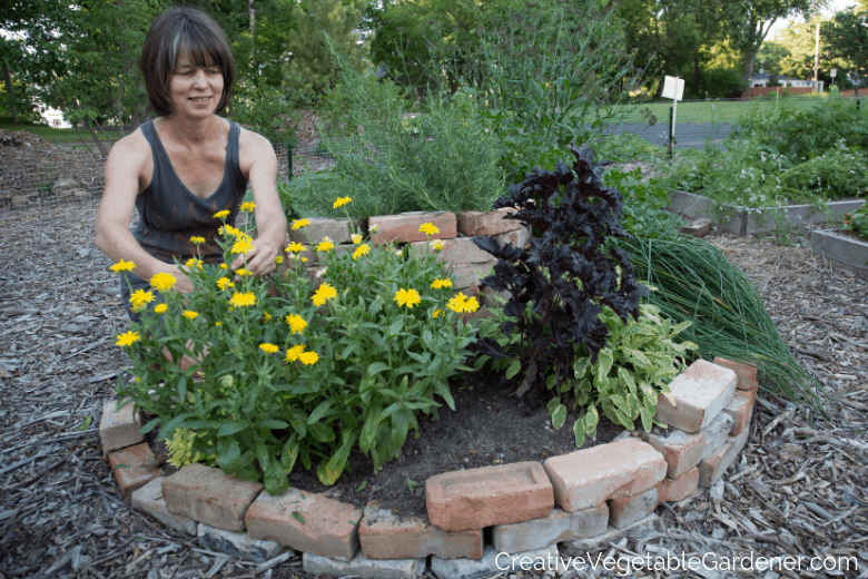 woman harvesting from herb spiral