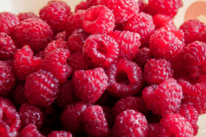 how to grow raspberries in your garden
