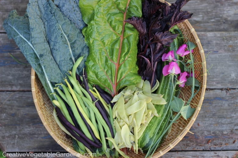 basket full of garden vegetables