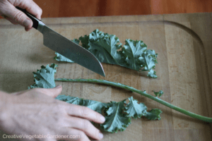 directions on how to freeze kale