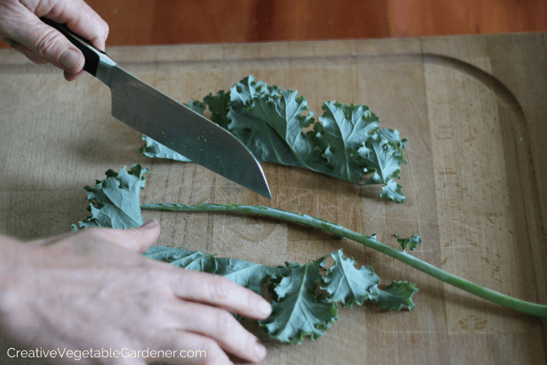 directions on how to freeze kale