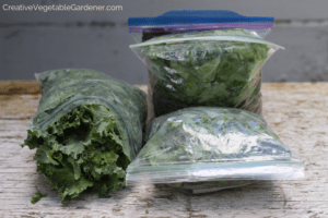 containers for freezing kale