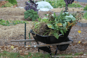 wheelbarrow full of plant debris to prevent vegetable pests in garden