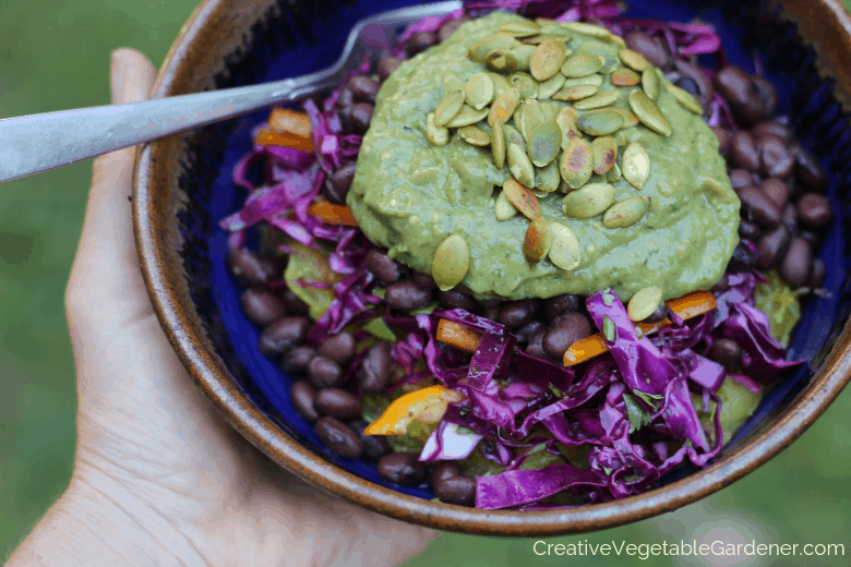 vegetable garden recipe