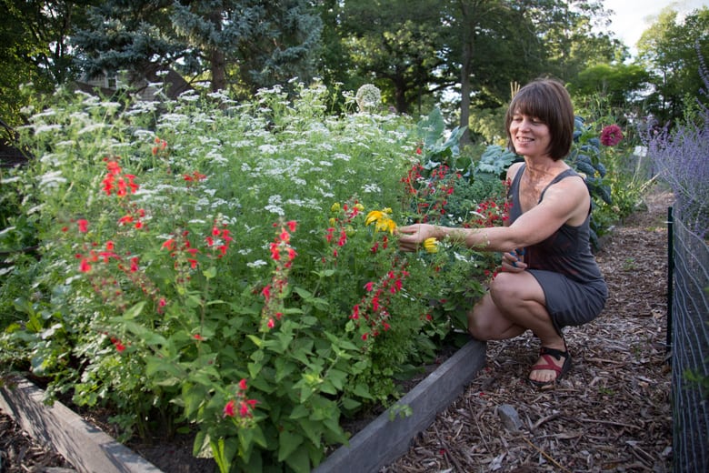 unusual vegetables to grow