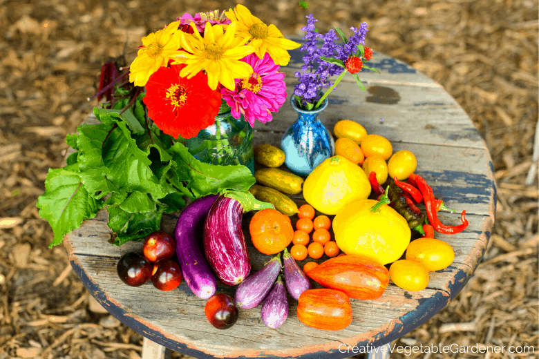 garden harvest of vegetables