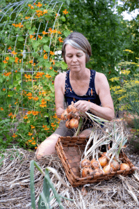 woman harvesting onions