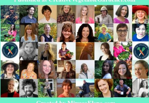 top garden bloggers share garden mistakes