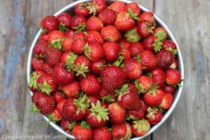 fresh strawberries from garden in colander