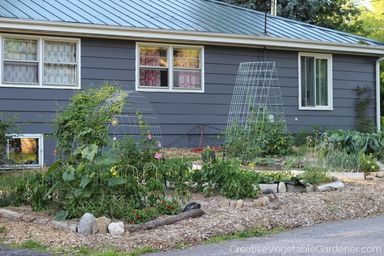 Front yard vegetable garden Front yard vegetable garden