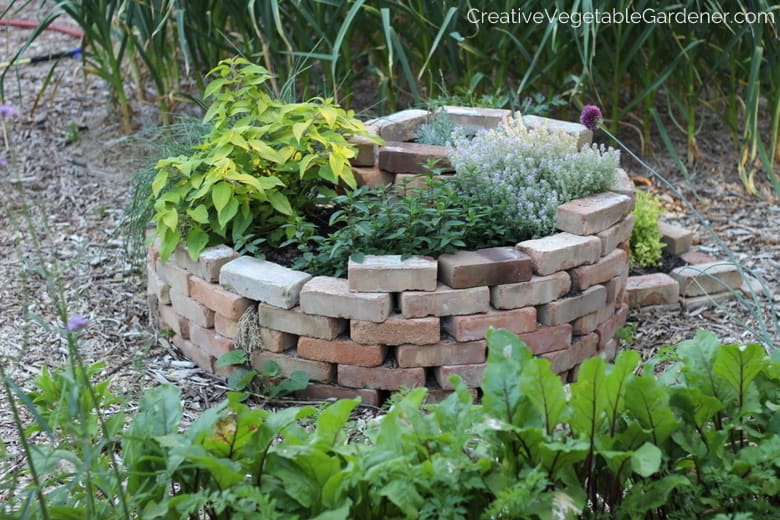 herb spiral in garden herb spiral in garden