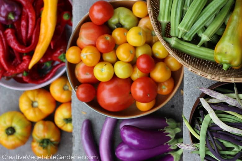 vegetable harvest in bowls
