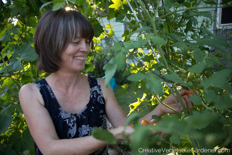 vegetable Trellis in the garden