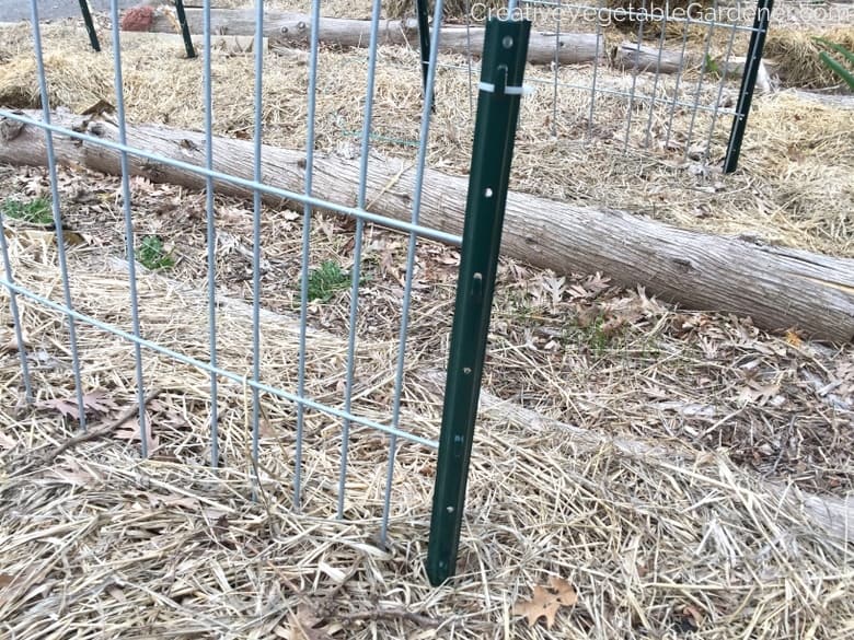 Simple Garden Trellis