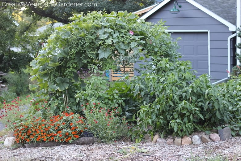 diy garden arch trellis