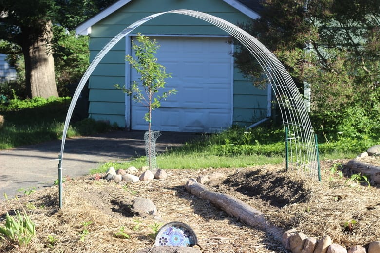 garden arch trellis