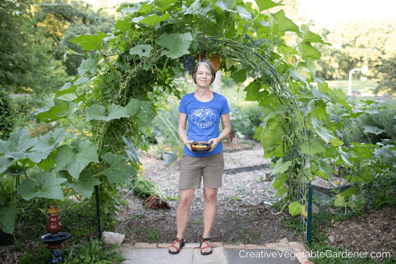 diy cattle panel trellis