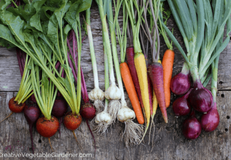 garden harvest for food storage