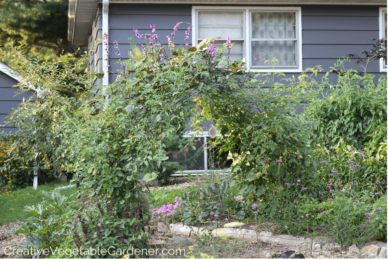 diy arch trellis for vegetables