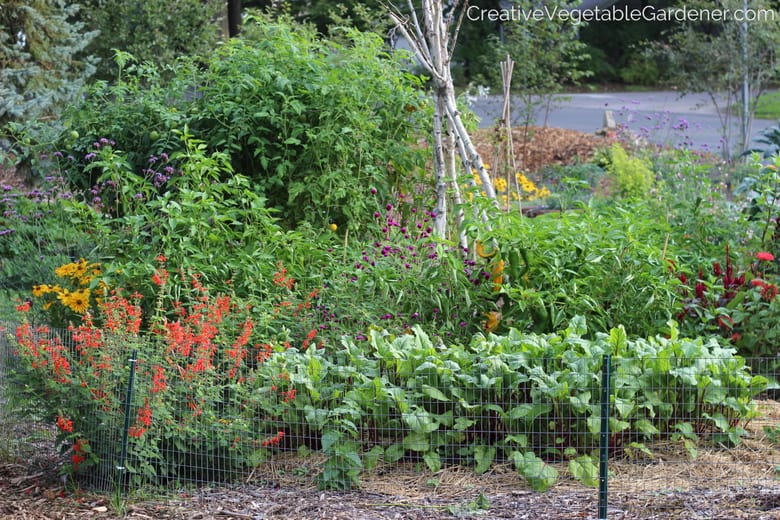 vegetable garden with flowers