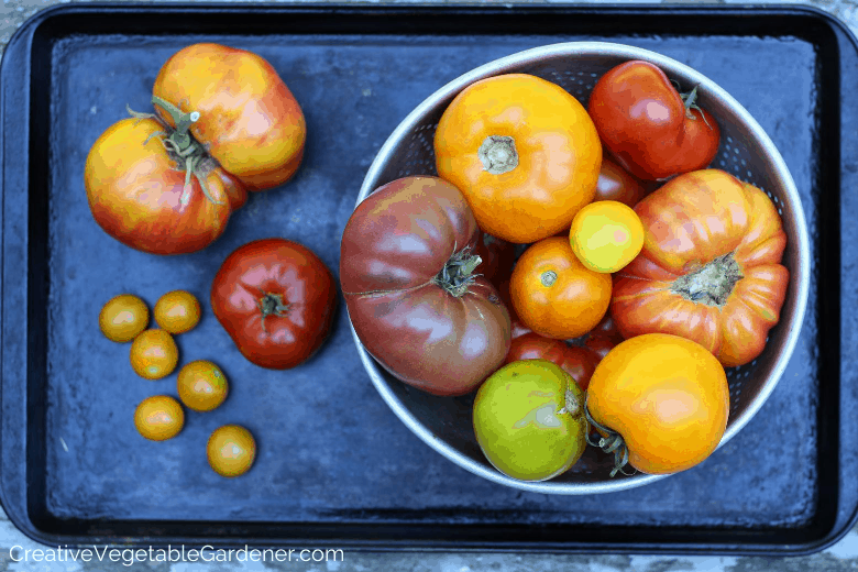 Creative Vegetable Gardener:Preserving Tomatoes: Save Time With This ...