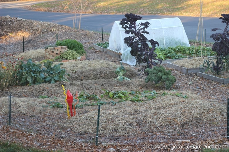 fall vegetable garden mulched and ready for winter