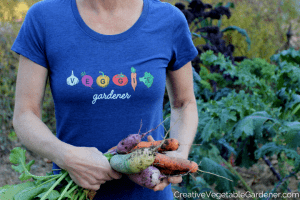gardener harvesting vegetables for healthy eating