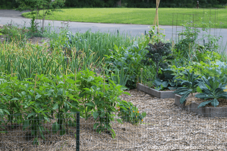 photo of vegetable garden with favorite gardening podcasts photo of vegetable garden with favorite gardening podcasts