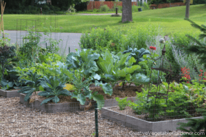 vegetable garden in summer with best gardening podcasts