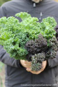 man holding kale in hands
