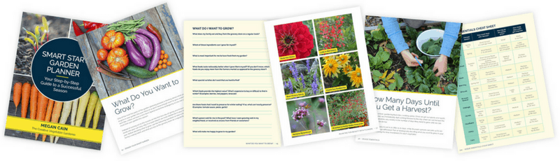 garden planning book page spread