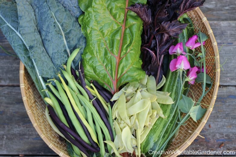 how long do vegetables take to grow