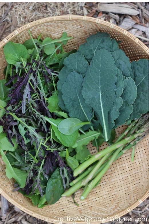 kale asparagus and salad mix in a basket choosing vegetable varieties