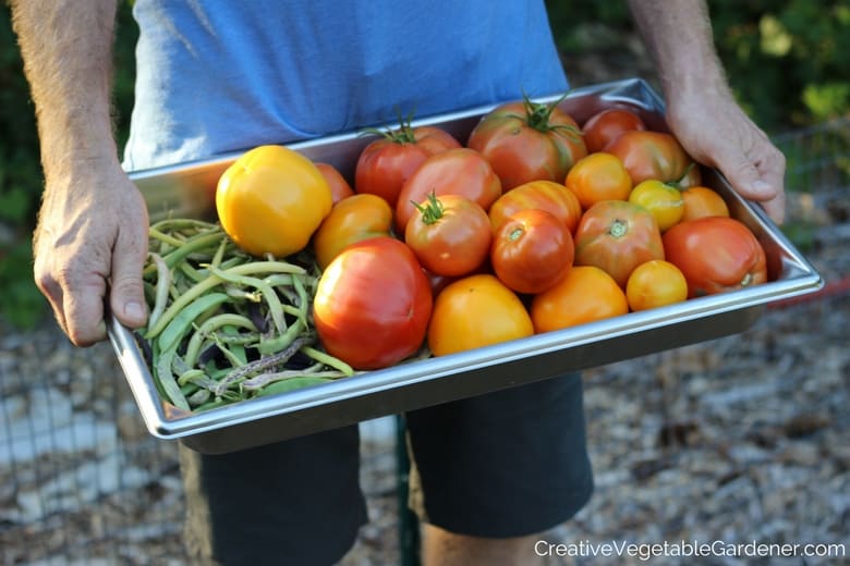 vegetable varieties for the garden