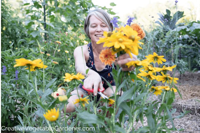 Winter Flowers to Grow in Texas – Vego Garden