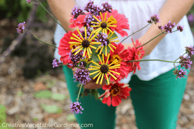 cut flowers for garden