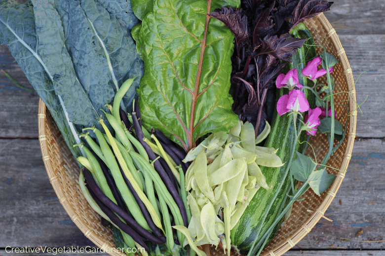 when to plant spring vegetables