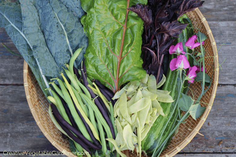 The ultimate guide to the best vegetables to plant in spring