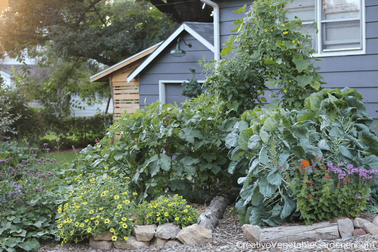 vegetable garden