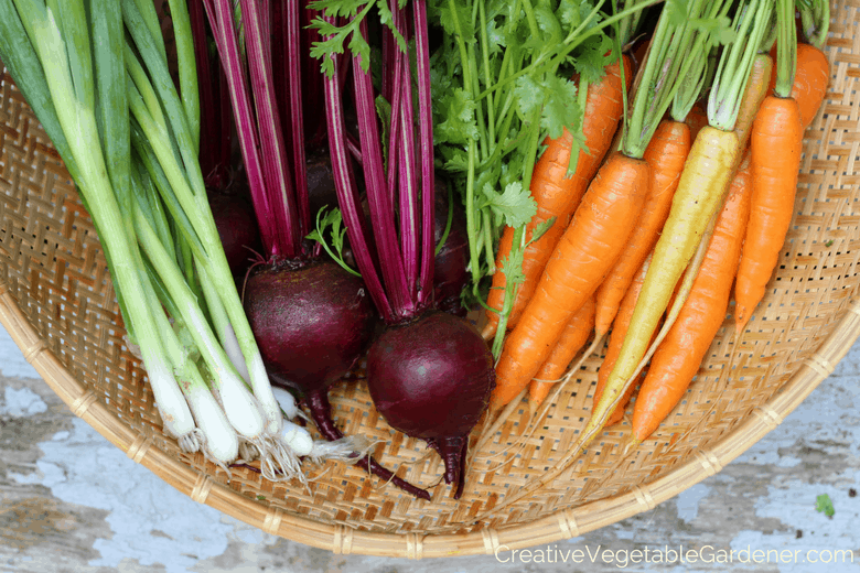 vegetable harvest from growing a fall garden