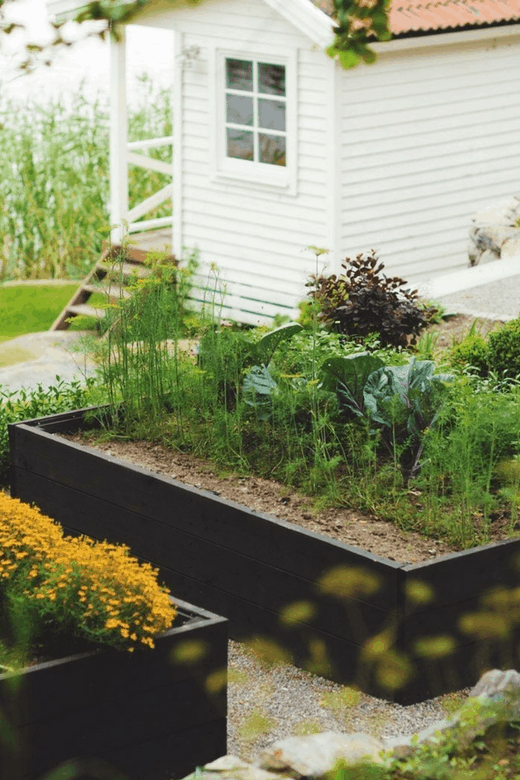 dark raised beds photos of vegetable gardens