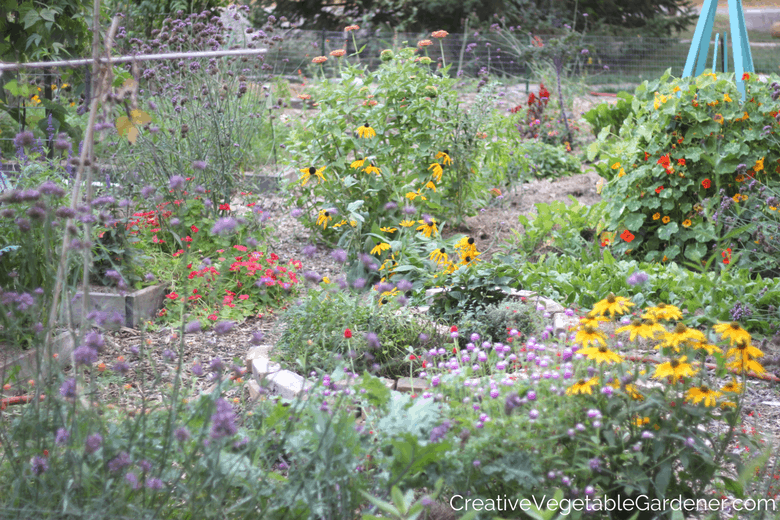 colorful home vegetable garden photo