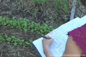 creating a plan for an organic garden