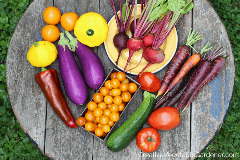 colorful harvest from an organic vegetable garden