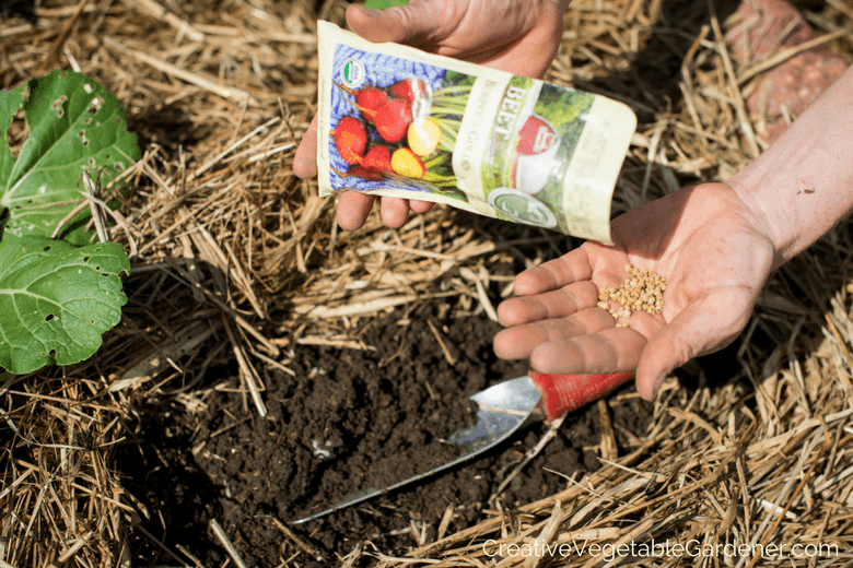 planting seeds with a planting schedule