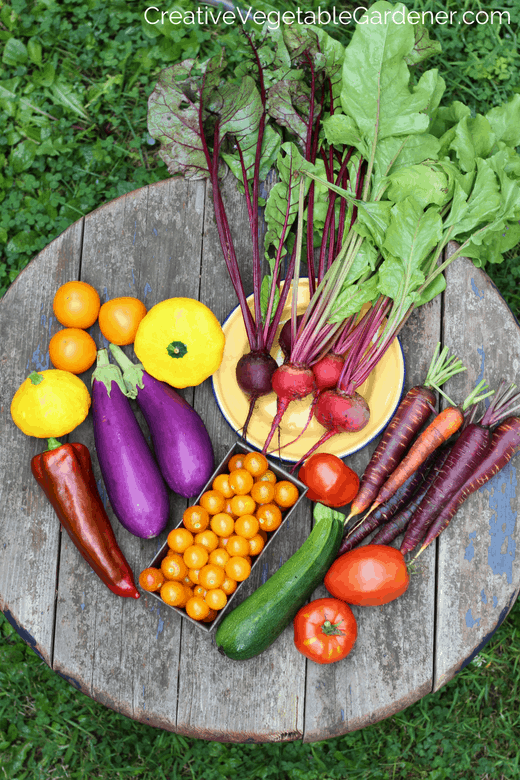 Best fertilizer on sale for vegetables