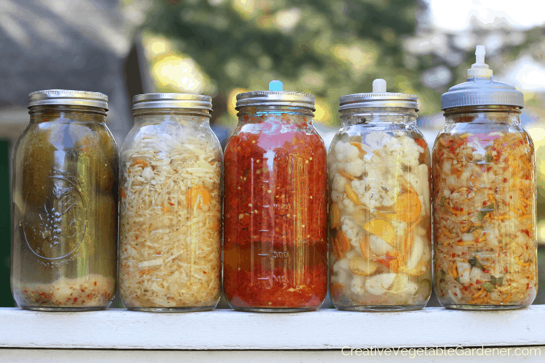 fermented foods for beginners