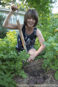 using garden tool to harvest potatoes