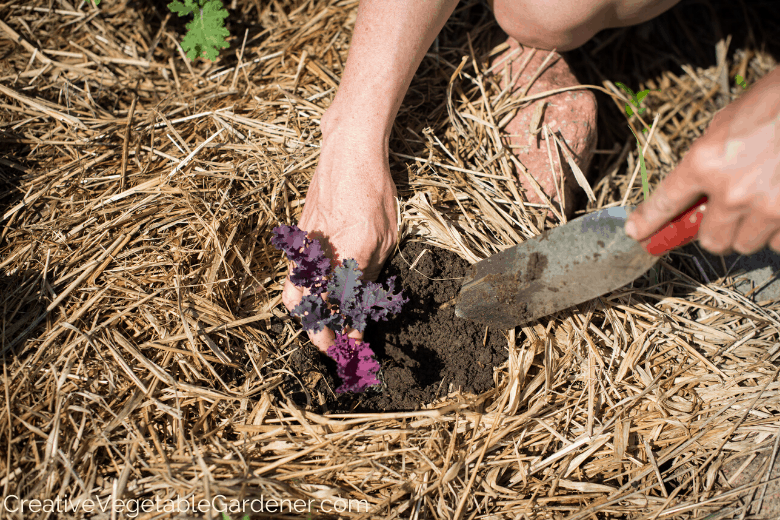 best garden trowel gift